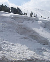 ��������� ���� ��������� ������