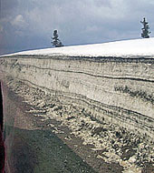 ������ �������� �������