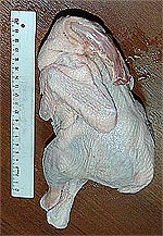 ������� ���������� �� ������������ ��������� �����