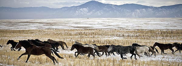 ����� �� ���� � �������