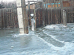 ����� ������, ����� ������?!