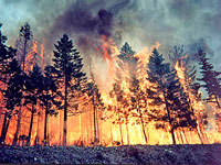 � ���������� ���� �� ������� ������� ������ ����� ��������� �������������� �������� ������������ ��������