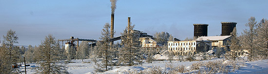 Через неделю после апокалипсиса