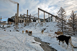 ������� ��������� �� ���������� �������������