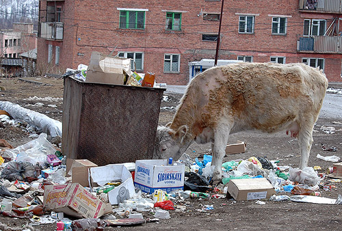 ���������� ������� ������������ � �������� ����� �����.