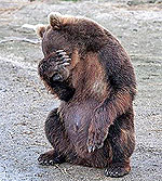 ������� ������� ������ ����� �������