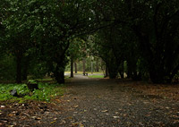 � ����� ������