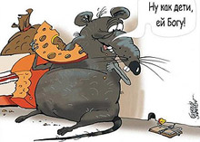 На фронте борьбы с коррупцией