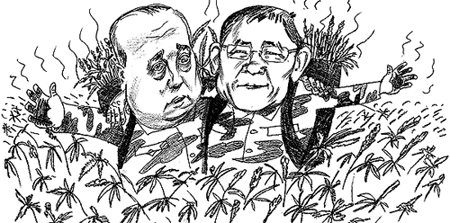 ������� ���� �����������