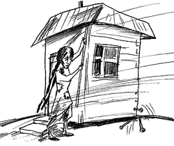 ���� ����������