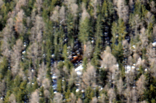 ��������� �������: ��������� �� ��� ����������