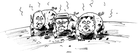 ��� ��������