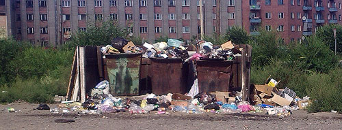 Свиньи в городе – признак благополучия?