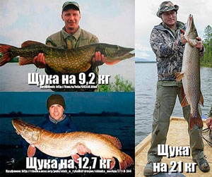 ��� ����� ��������� ������