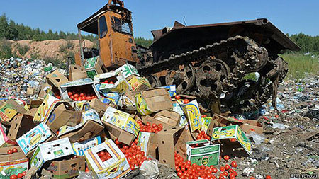 Какие продукты этим летом уничтожил Россельхознадзор