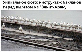 �� ��� �������� �������