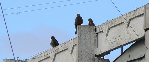 Кызыл: У нас тут своя атмосфера