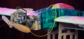 �� ���� ������� �� ����� � �����