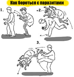 ��������� ��� ����������� ����