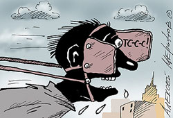 ������ ��� ��������