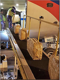 ������ ��� ����������