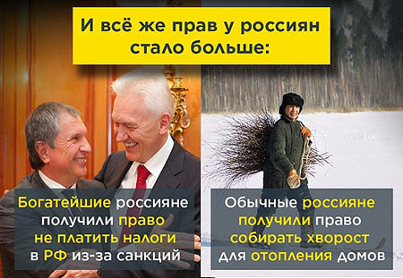 Утешимся валежником