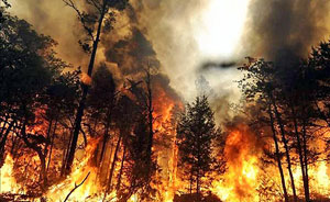 ������� �� ������