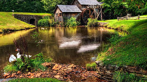 ������ ����