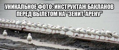 ������-�����