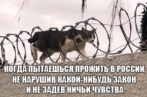 ����������� ������ ��������