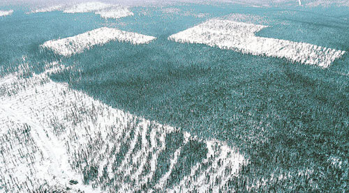 �� ����� ����� ����� ��� ����� �����