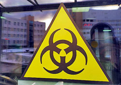 Почему российская эпидемия страшнее китайской