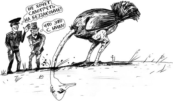 ���������� ���������� � ���� ��� ������ ���������?