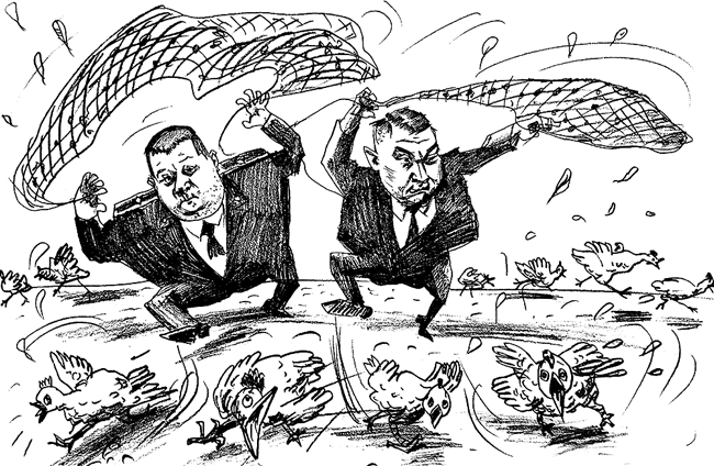 � ���� �������� �������� ����������