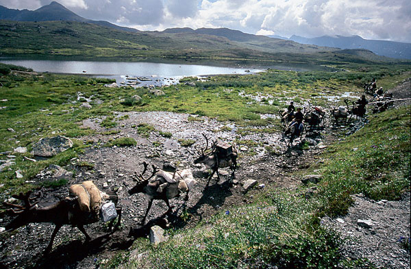 ���������� ��������� � ����-����!