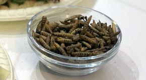 ������� � ������������