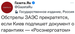 «Росэнергоатом» – разрешённая в России террористическая организация