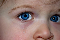 ��� ��� ������� � �������, �������� ���� �� �������� ���������