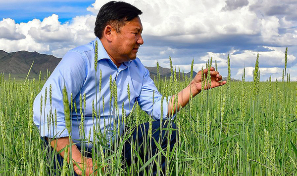 ������ ������ ���� �� ���������� ��������� ��������� ���������?