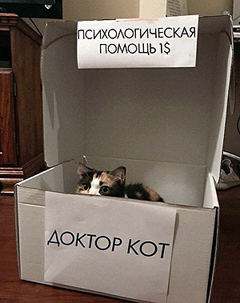 Если бы руки людей были бы заняты тем, что гладят собак или кошек, то этой всей фигни бы не было