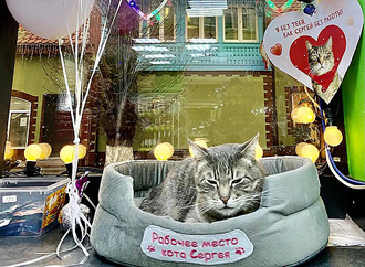 � ��������������� ������� ������� ������ ���� ���