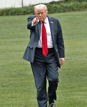 В борьбе за премию мира Трамп готов разнести весь мир!